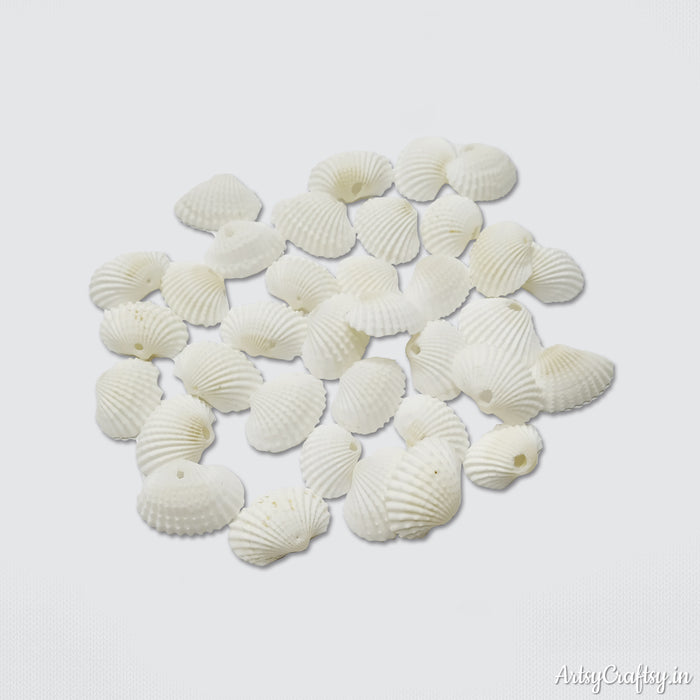 Seashell | Artsy Craftsy
